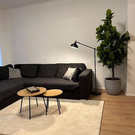 Ferienwohnung Haus Paraschiv Aue  Exterior foto